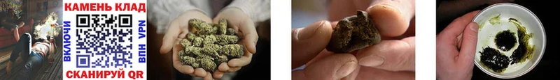 продажа наркотиков  Калач-на-Дону  Гашиш Cannabis 