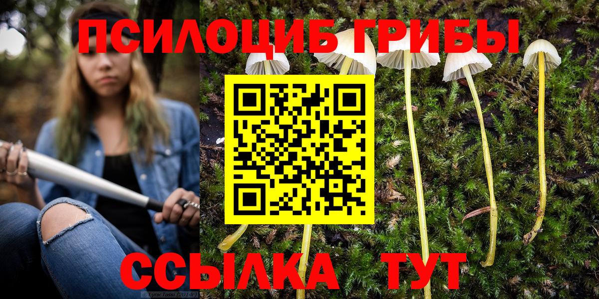 Галлюциногенные грибы Magic Shrooms Калач-на-Дону