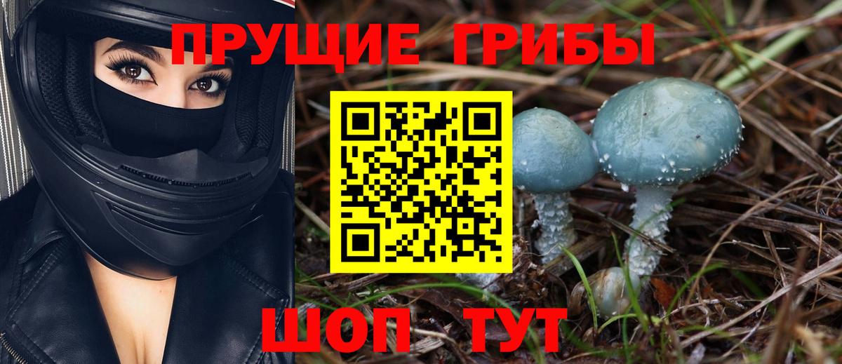Галлюциногенные грибы GOLDEN TEACHER  Вход с VPN  Калач-на-Дону 